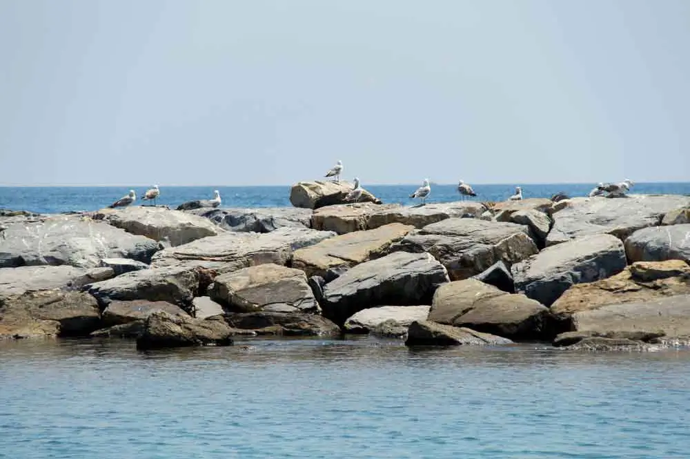 tipps alassio ligurien